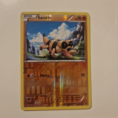 Sandile nero bianco - 60/98,