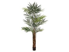 Palma Kentia Artificiale