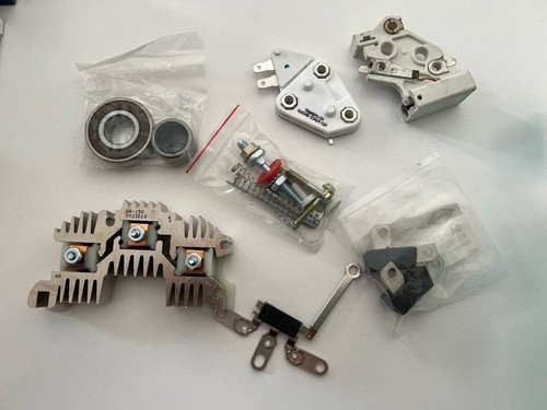 Kit revisione alternatore - revisione,