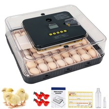 Incubatrice 56 uova