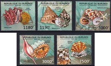 SEASHELLS Sea Shells Marine
