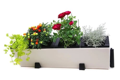 Fioriera autoirrigante - , a