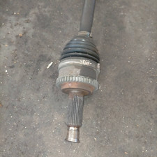 495002K000 Semialbero ant