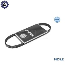 CINGHIA VIBRANTE 050 004 0800