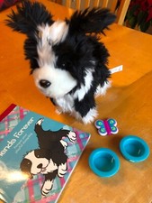 Cucciolo cane da pastore