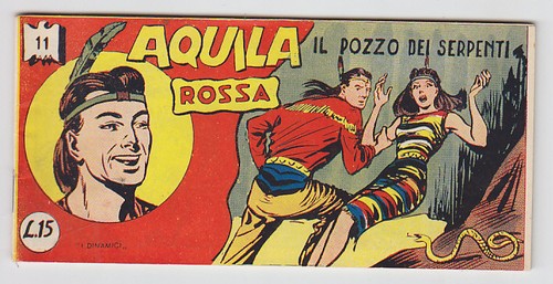Aquila rossa tomasina - aquila,