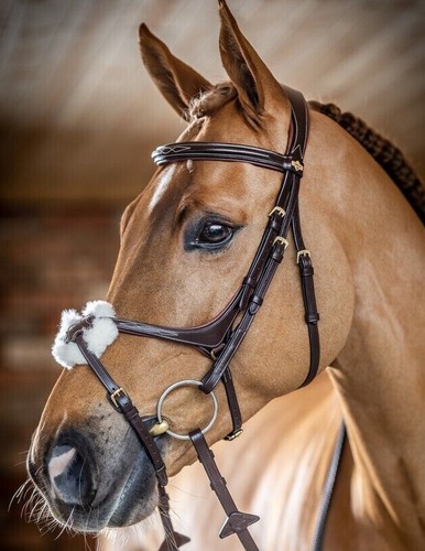 Lemieux grackle bridle - lemieux,