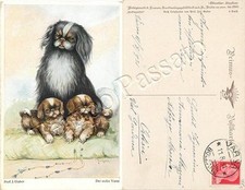 Cane Pechinese con i suoi cuccioli - 1931 / illustratore Gaber