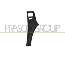 Modanatura Parafango Anteriore