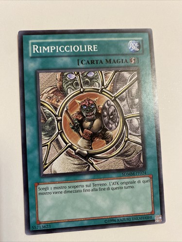 Yugioh rimpicciolire - yugioh,