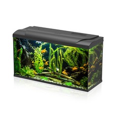 Aqpet acquario acqua dolce - acquario,