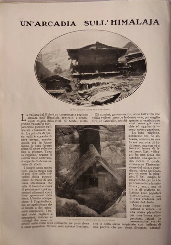 Allevamento serpenti a - un, di