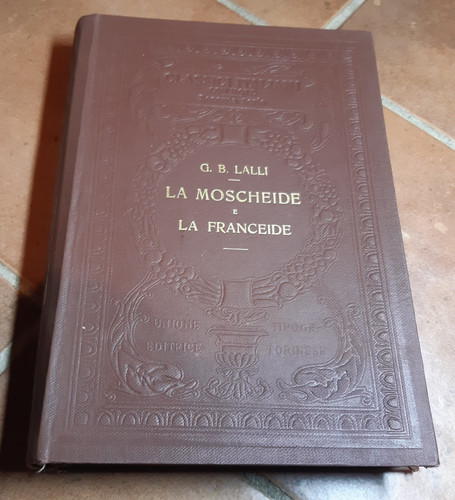 Lalli la moscheide e - moscheide,