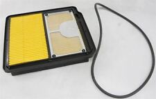 Filtro aria trattorino