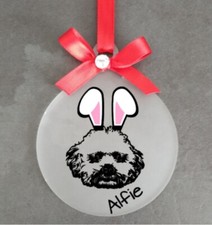 Bichon Frise regalo di Pasqua