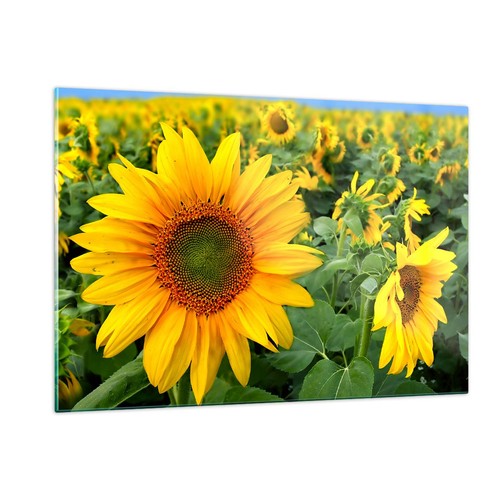 Quadro vetro 120x80cm - quadro,