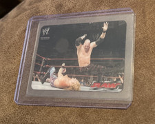 WWE Edibas Lamincards 2004