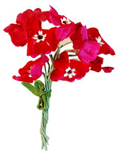 LENCI TORINO 70s italy bel