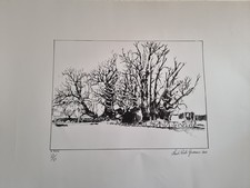 Serigrafie Del Maestro Santo