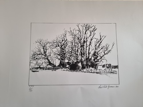 Serigrafie del maestro - serigrafie, santo