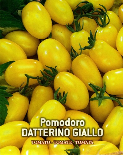200 semi seeds pomodoro - semi, /