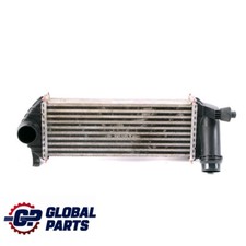 Mercedes W415 Citan OM607 Radiatore Intercooler Raffreddatore Aria 144963234R