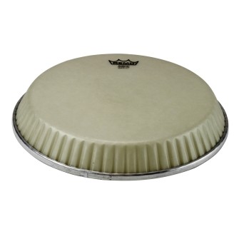 Conga drumhead symmetry - drumhead,,