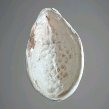 Formella Ceramica x marmellata