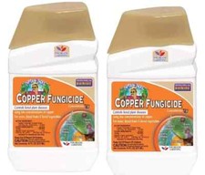 Bonide Captain Jack Fungicida in Rame Concentrato Controllo Malattie delle Piante - 2 CONFEZIONI