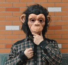 Costume Gorilla Scimmia Testa