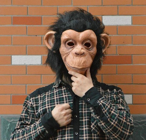 Costume gorilla scimmia - gorilla,