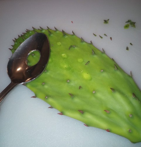 Cuchara peladora nopales - cuchara,