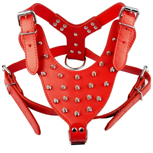 Boxer gilet resistente - , cane