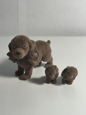 Cucciolo nella mia tasca