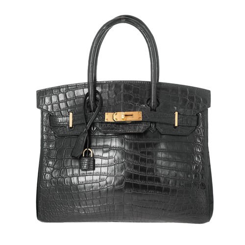 Hermes niloticus opaco - hermes,