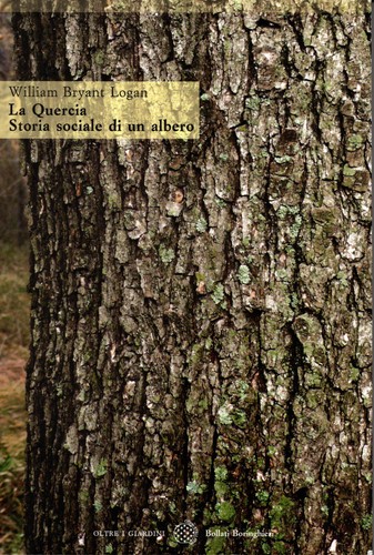 Quercia storia sociale di - quercia.,