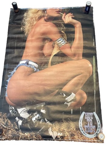 Hot trot poster - poster, vintage