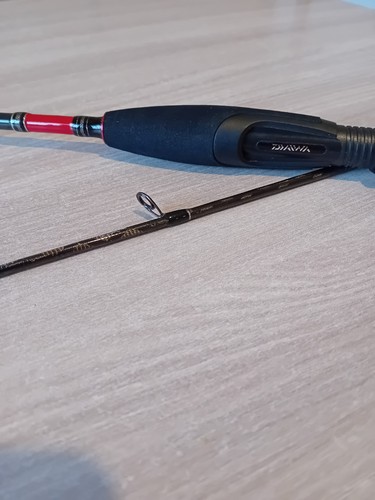 Canna pesca spinning daiwa - canna,