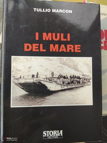 Muli del mare tullio - muli, mare-tullio