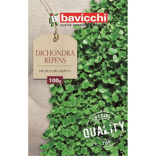 Risala dichondra repens mow - dichondra, no