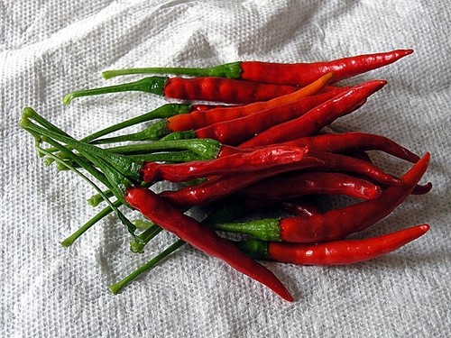 Chili arbol polvere - chili, de