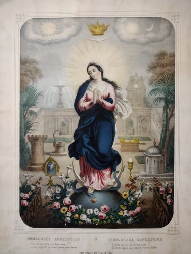 Madonna immacolata concezione - immacolata,
