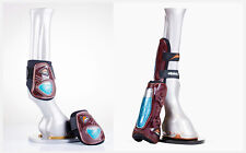 SET PARATENDINI E PARANOCCHE