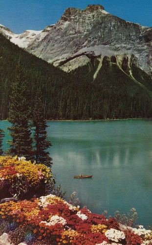 Cartolina parco nazionale - -,