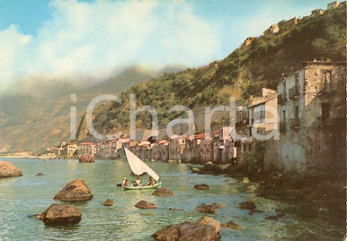 1964 scilla panorama - 1964,