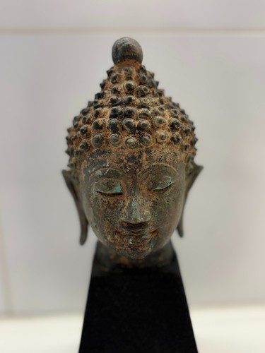 Squisita testa buddha in - squisita,