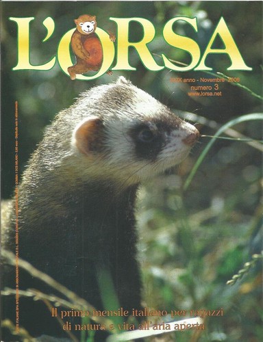 Orsa il primo mensile - l’orsa, :