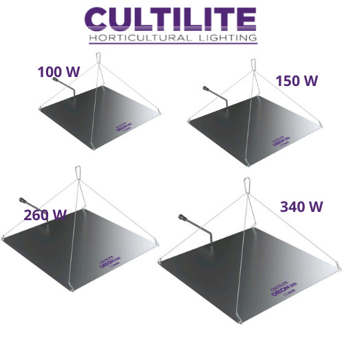Lampada luce led - , coltivazione