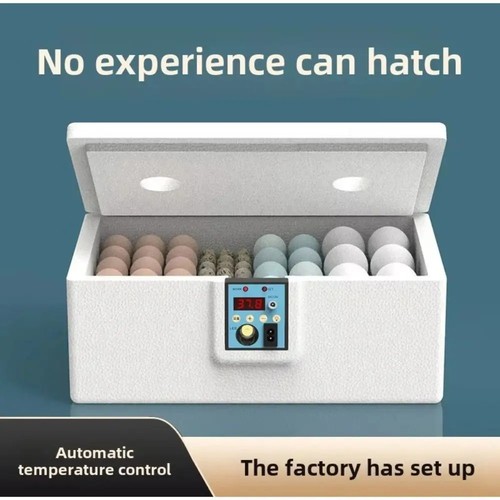 Intelligent egg incubator for - egg,