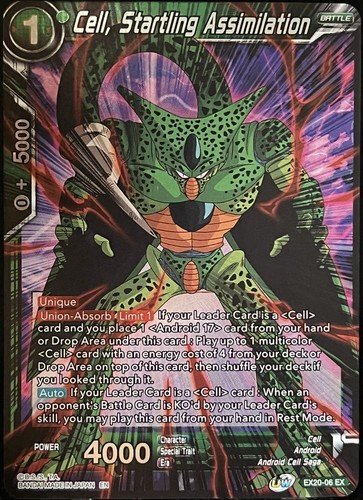 Cell assimilazione - cell,,